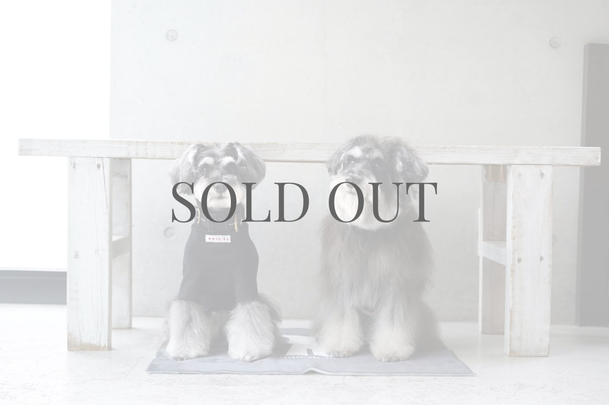 画像3: ブランケット【su-ha kun】 (3)