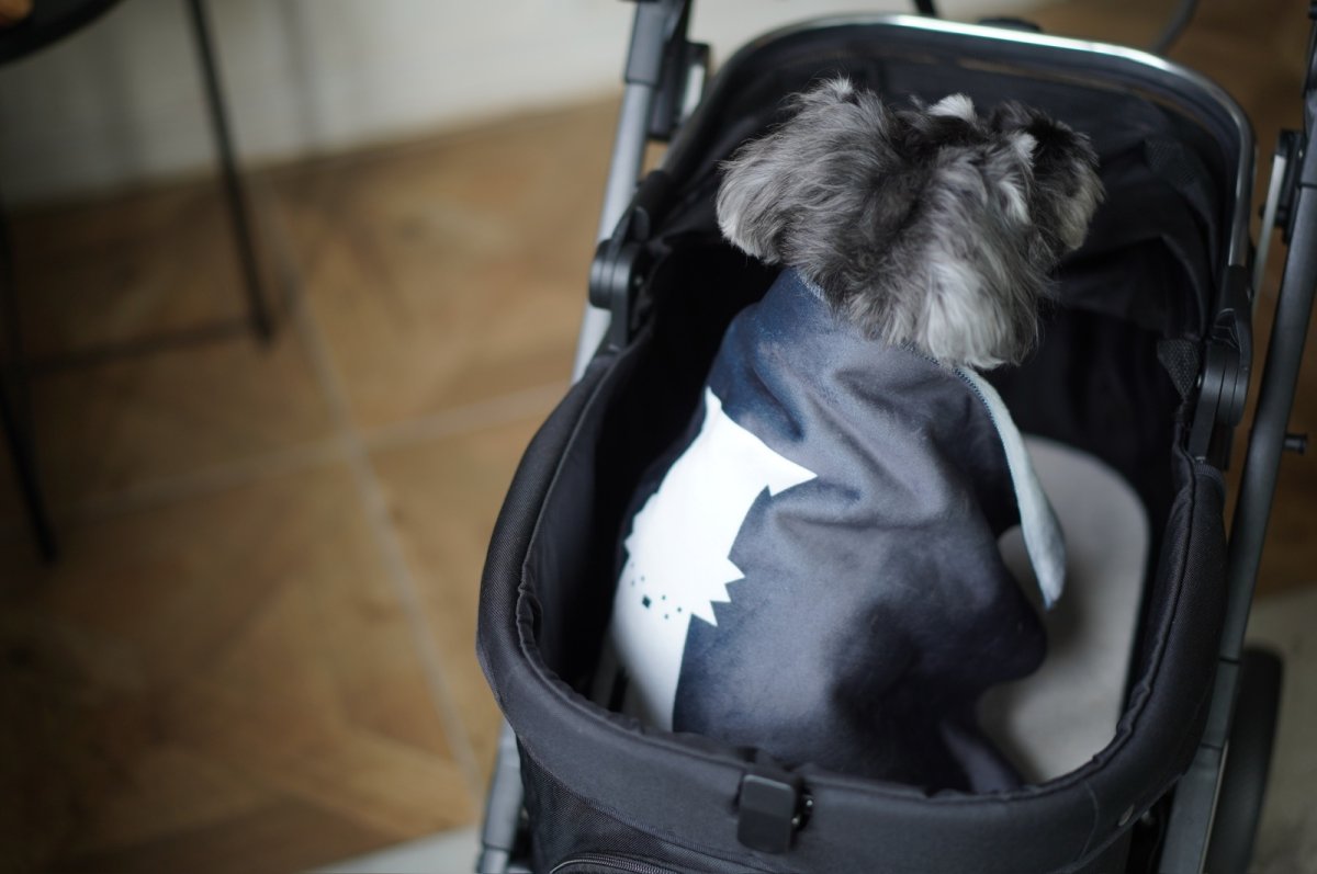 画像7: ブランケット【su-ha kun】 (7)