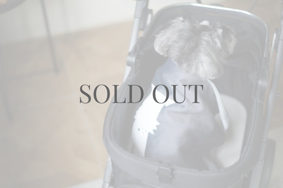 画像7: ブランケット【su-ha kun】 (7)