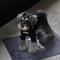 画像6: 【dog】su-ha kun  ハイネックTシャツ【ブラック】 (6)
