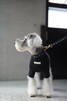 mmsu-ha犬用ハイネックTシャツ/ブラック/ミニチュアシュナウザー