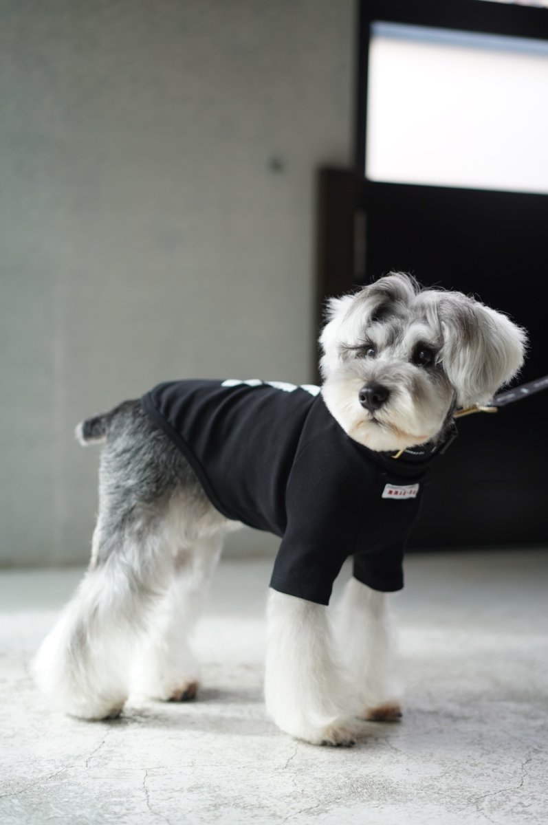 画像9: 【dog】su-ha kun  ハイネックTシャツ【ブラック】 (9)
