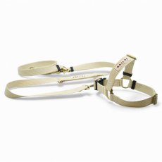 画像17: TAG 25ショルダーリード【クロスオーダー】 (17)