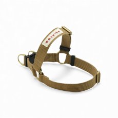 画像16: TAG 25 ハーネス【クロスオーダー】 (16)