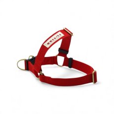 画像10: TAG 25 ハーネス【クロスオーダー】 (10)