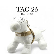画像1: TAG 25 ハーネス【クロスオーダー】 (1)