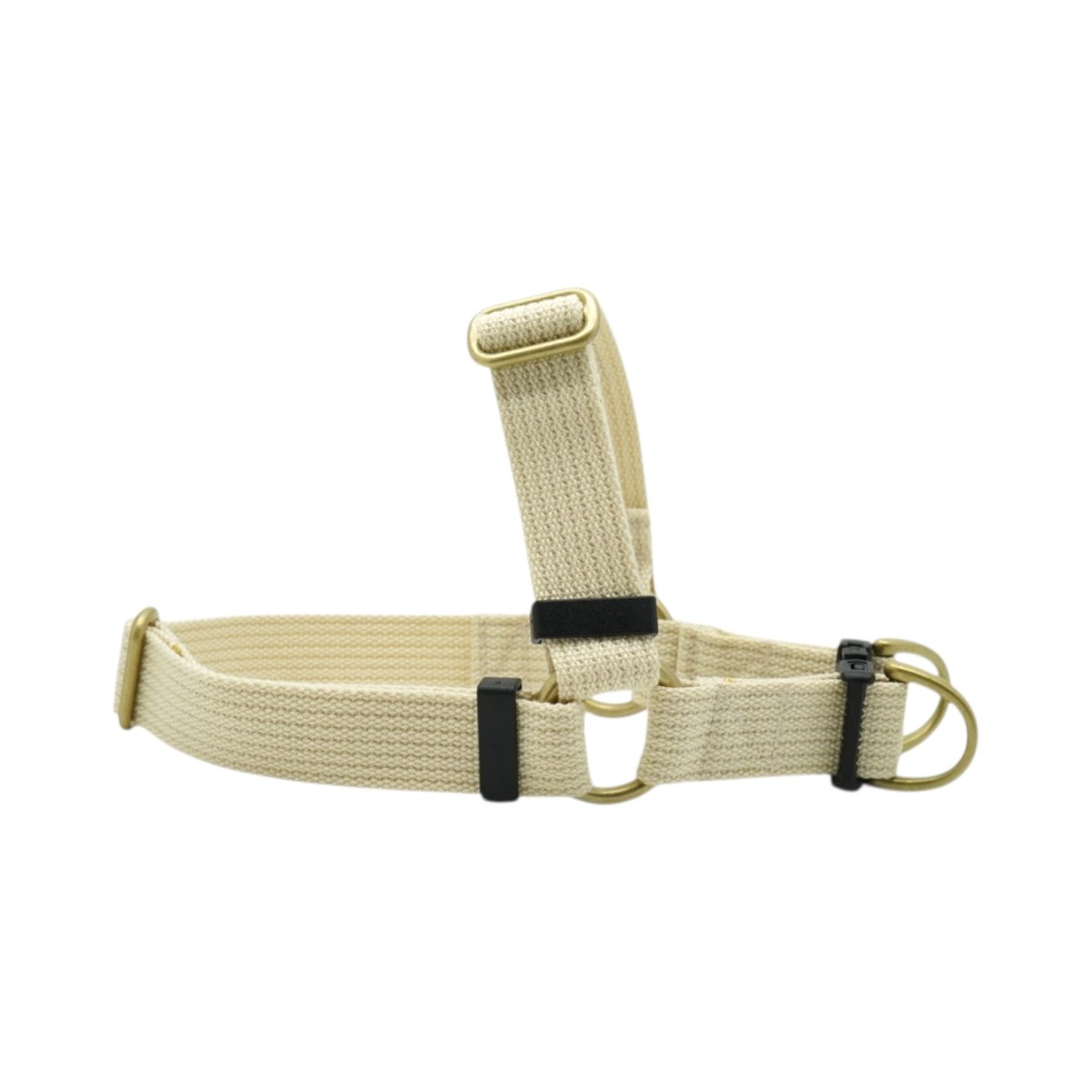 画像24: TAG 25 ハーネス【クロスオーダー】 (24)