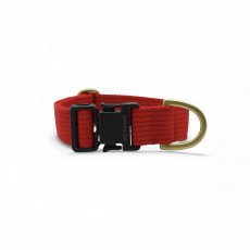 画像12: TAG 25 カラー/首輪【クロスオーダー】 (12)