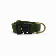 画像9: TAG 25 カラー/首輪【クロスオーダー】 (9)