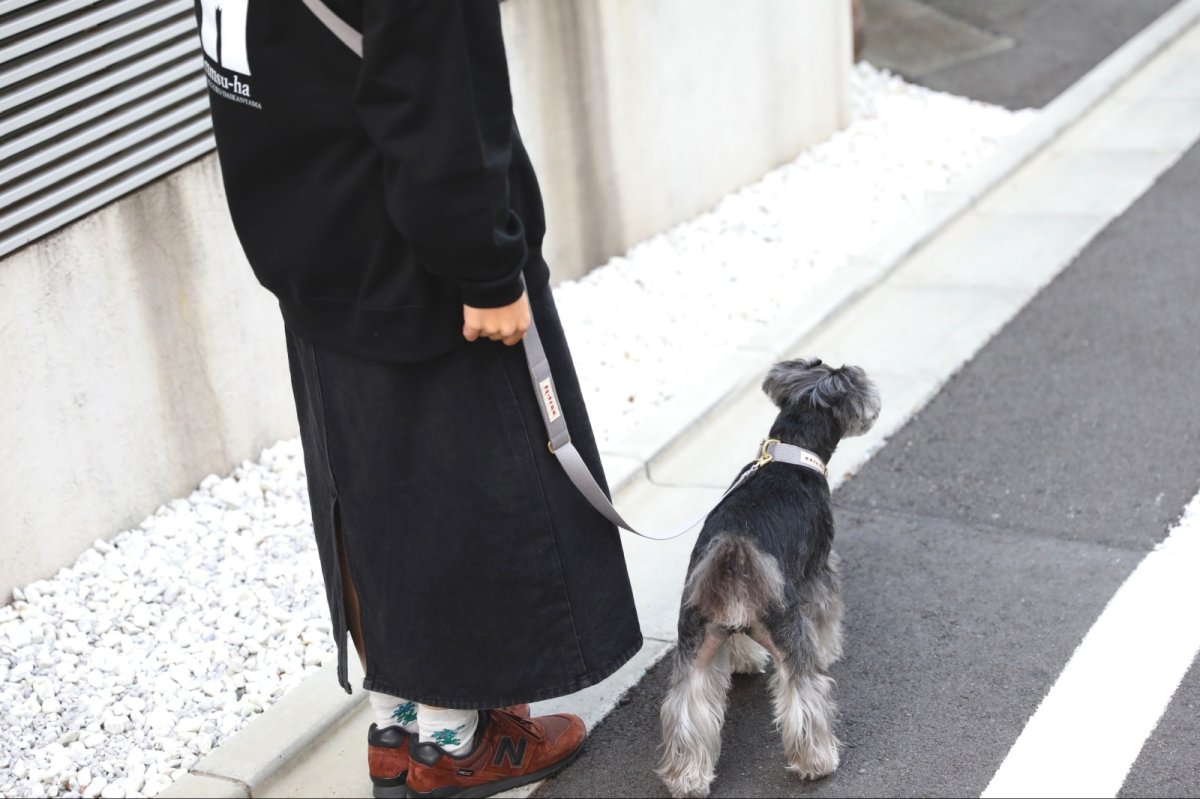 画像20: TAG 25ショルダーリード【クロスオーダー】 (20)