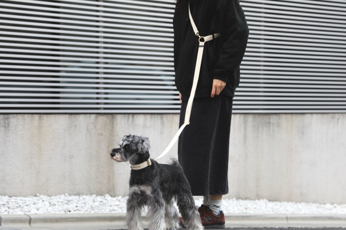 画像23: TAG 25 カラー/首輪【クロスオーダー】 (23)