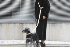 ミニチュアシュナウザーにオススメ/mmsu-ha TAG25COLLAR/タグニジュウゴカラー/犬用首輪