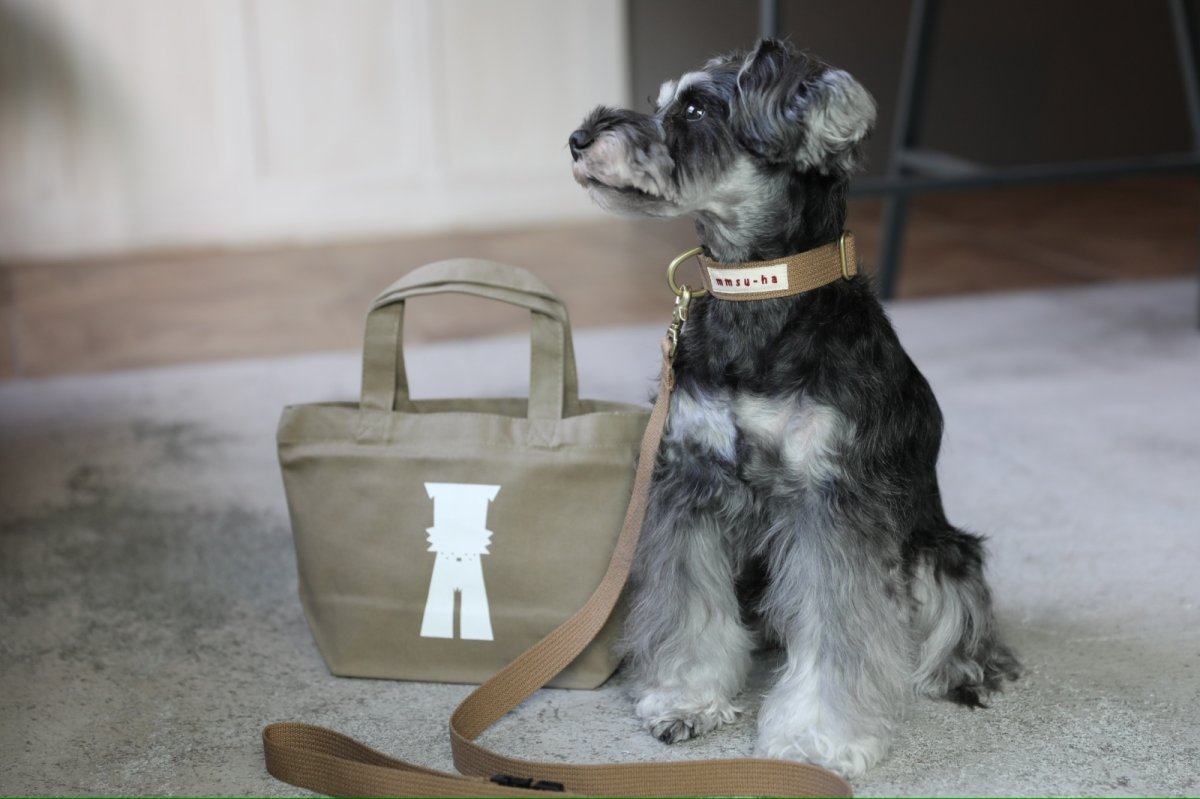 画像21: TAG 25 カラー/首輪【クロスオーダー】 (21)