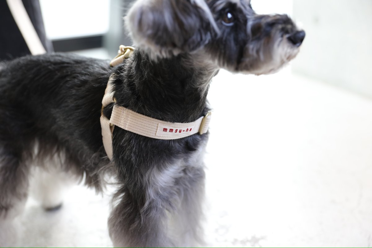 画像30: TAG 25 ハーネス【クロスオーダー】 (30)