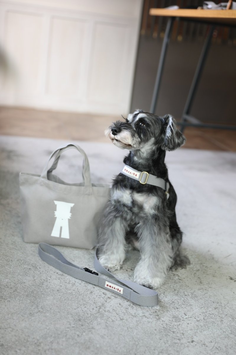 画像36: TAG 25 リード【クロスオーダー】 (36)