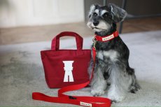 画像20: TAG 25 カラー/首輪【クロスオーダー】 (20)