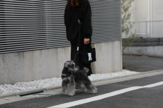 画像4: TAG 25ショルダーリード【クロスオーダー】 (4)