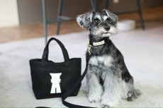 画像22: TAG 25 カラー/首輪【クロスオーダー】 (22)