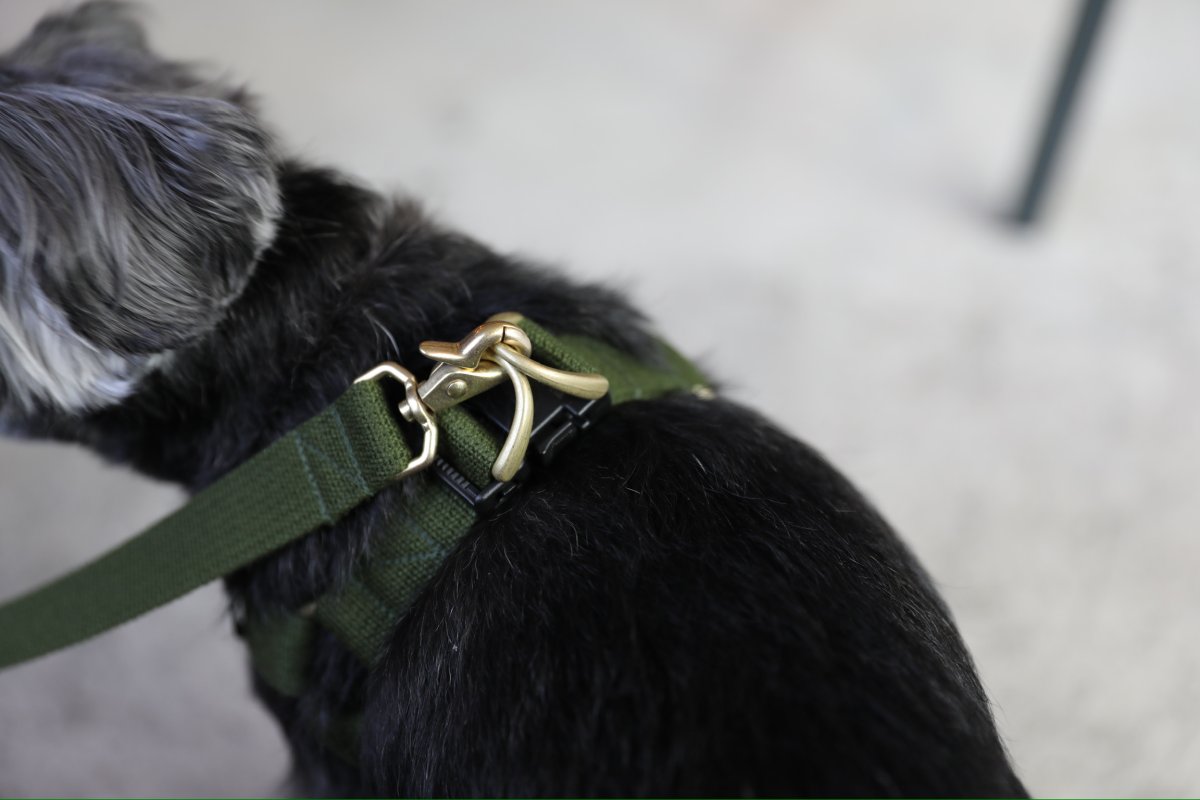 画像34: TAG 25 リード【クロスオーダー】 (34)