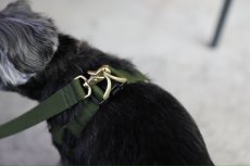 画像34: TAG 25 リード【クロスオーダー】 (34)