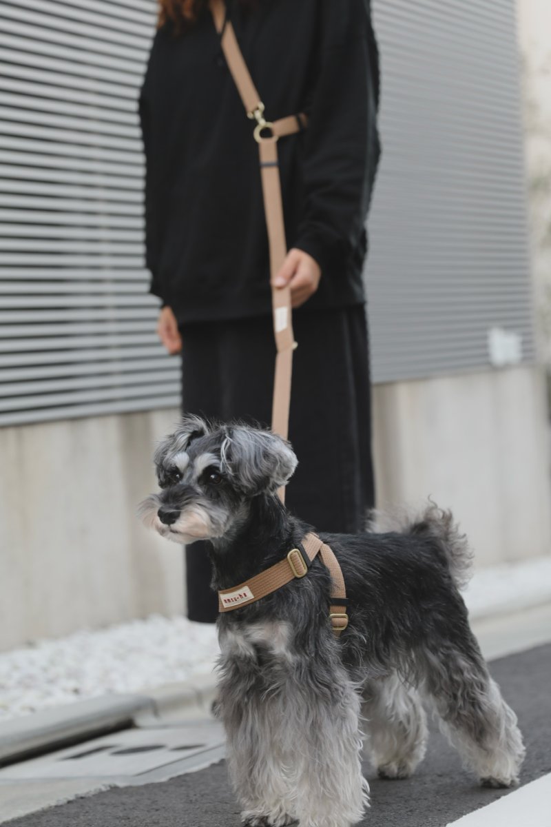 画像22: TAG 25ショルダーリード【クロスオーダー】 (22)