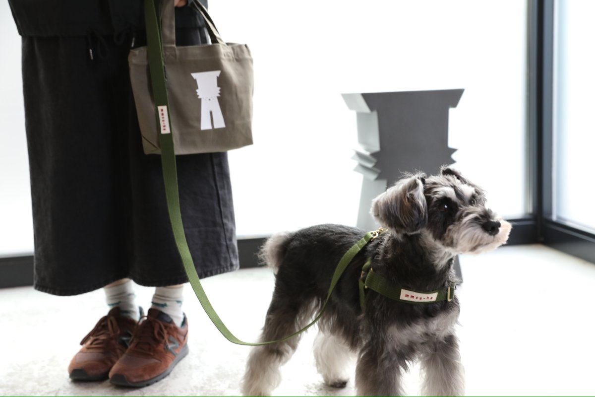 画像32: TAG 25 ハーネス【クロスオーダー】 (32)