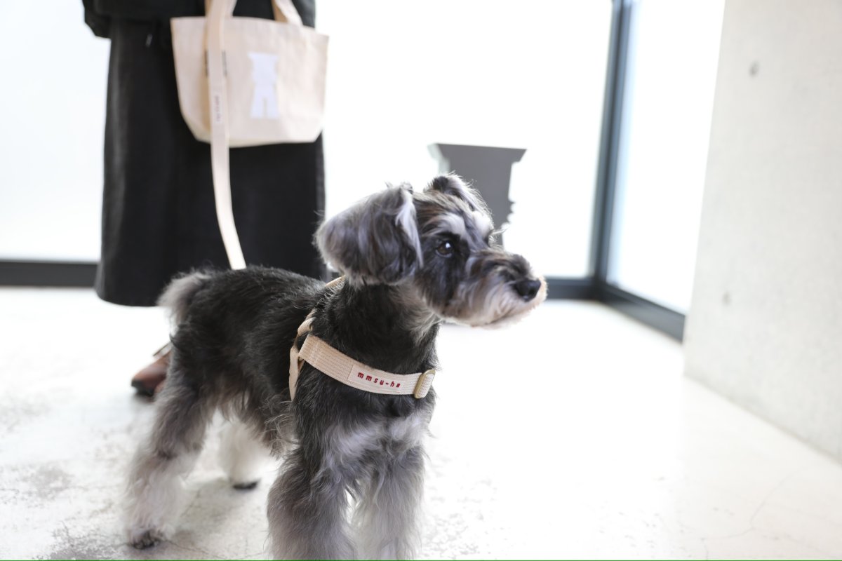 画像35: TAG 25 リード【クロスオーダー】 (35)