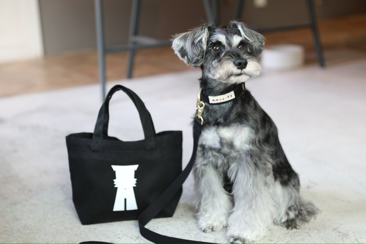 画像30: TAG 25 リード【クロスオーダー】 (30)