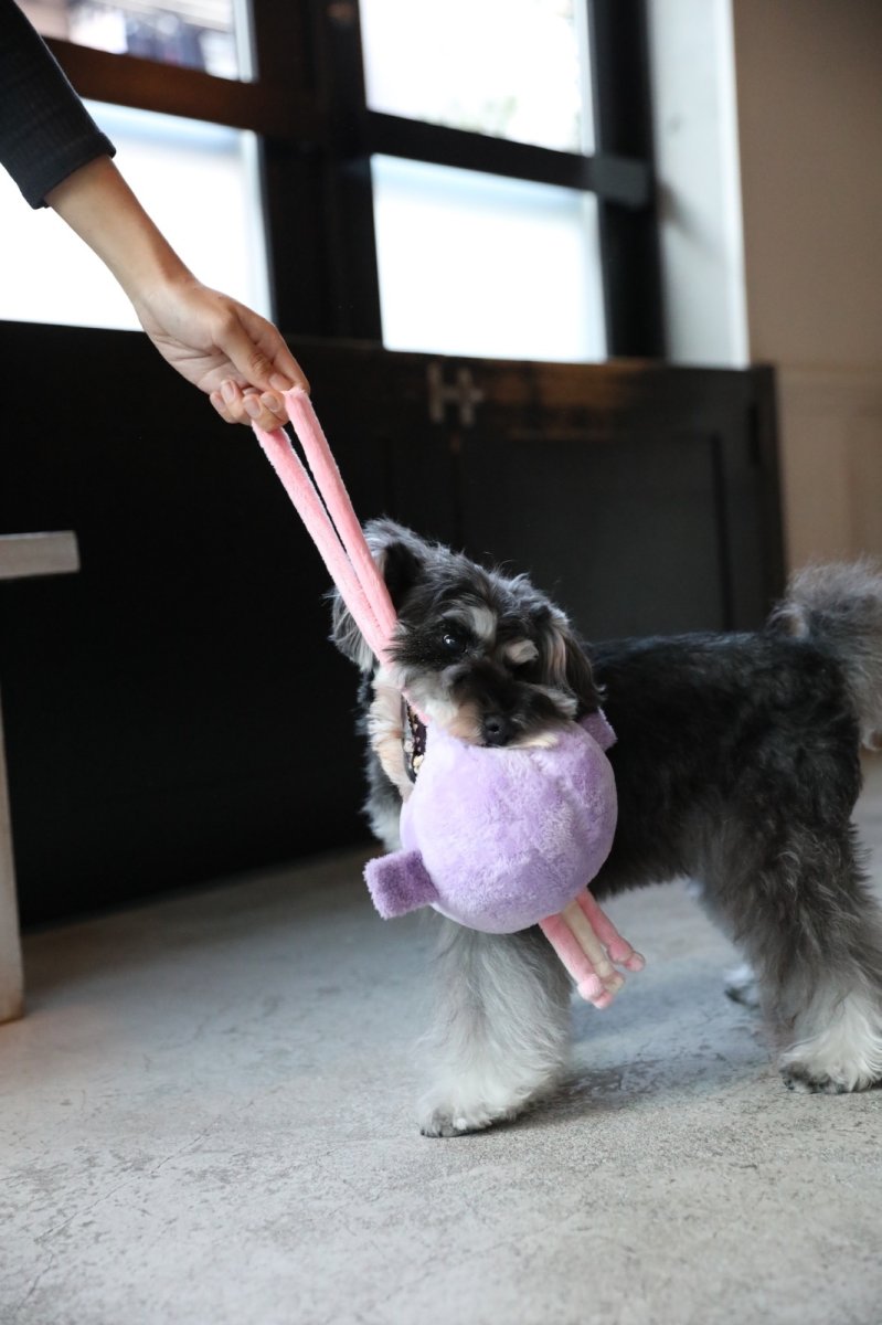 画像11: BIG BALL TOY (11)