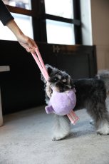 画像11: BIG BALL TOY (11)