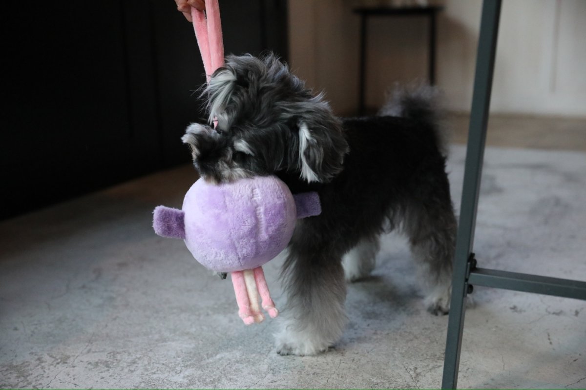 画像12: BIG BALL TOY (12)