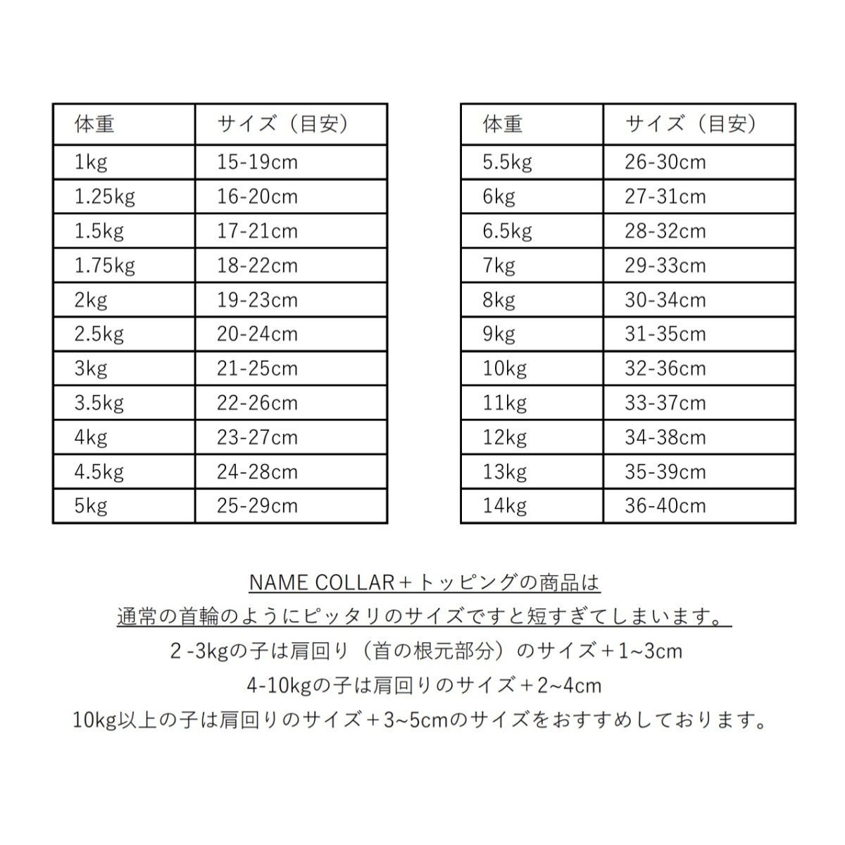 画像6: TIE + NAME COLLAR/迷子札【レザーオーダー】 (6)