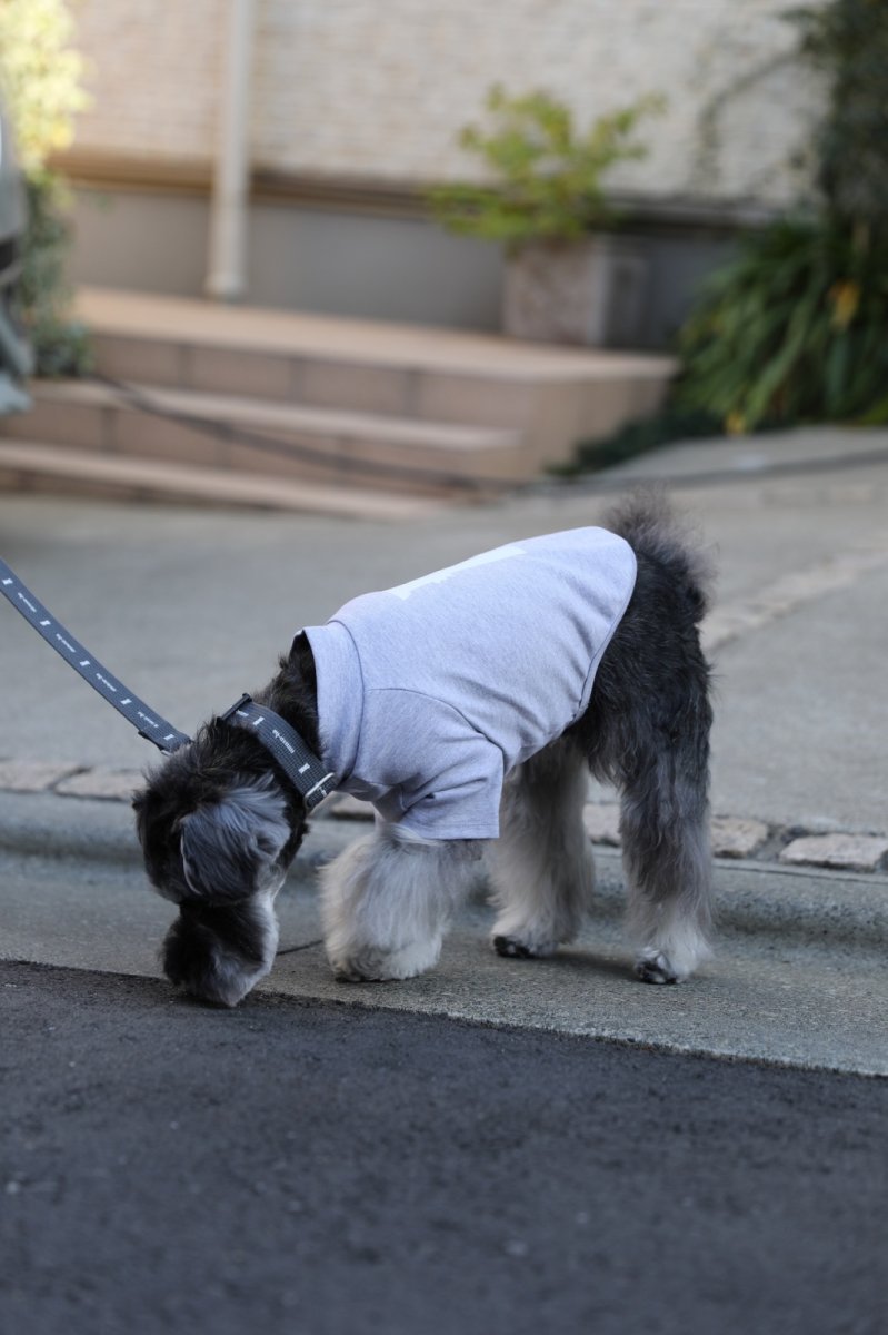 画像7: ロゴ25 リード/グレー【クロスオーダー】 (7)