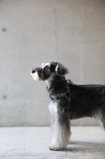 画像8: ロゴ25 ハーネス/グレー【クロスオーダー】 (8)