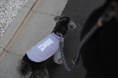 画像5: ロゴ25 ショルダーリード/グレー【クロスオーダー】 (5)