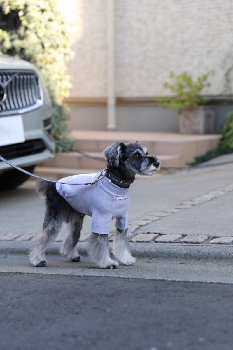 画像8: ロゴ25 リード/グレー【クロスオーダー】 (8)