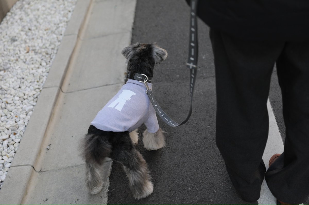 画像6: ロゴ25 ショルダーリード/グレー【クロスオーダー】 (6)