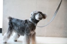 画像4: ロゴ25 カラー/グレー【クロスオーダー】 (4)