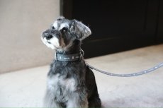 画像6: ロゴ25 カラー/グレー【クロスオーダー】 (6)