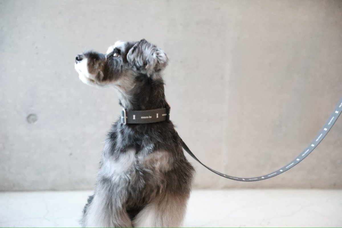 画像5: ロゴ25 カラー/グレー【クロスオーダー】 (5)