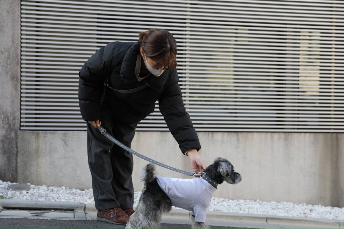 画像4: ロゴ25 ショルダーリード/グレー【クロスオーダー】 (4)