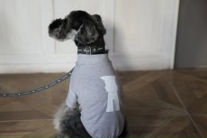 ミニチュアシュナウザー着用【dog】su-ha kun ハイネックTシャツ【ライトグレー】【mmsu-ha】