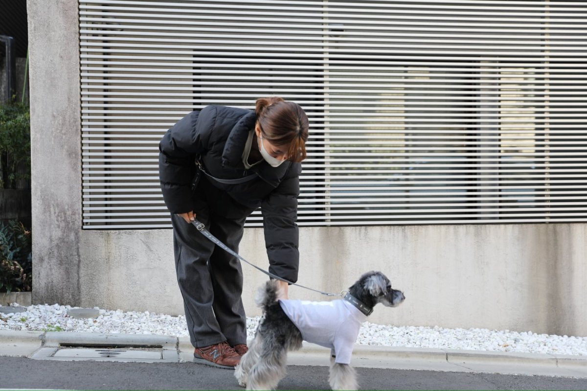 画像11: 【dog】su-ha kun  ハイネックTシャツ【ライトグレー】 (11)