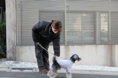 画像11: 【dog】su-ha kun  ハイネックTシャツ【ライトグレー】 (11)