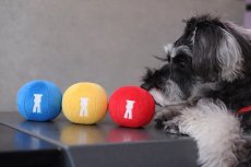 【mmsu-ha Ball Toy】 RED/BLUE/YELLOW 単品