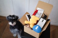 画像5: PUPPY BOX/パピーボックス〜はじめてのmmsu-ha〜 (5)