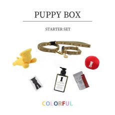 画像1: PUPPY BOX/パピーボックス〜はじめてのmmsu-ha〜 (1)