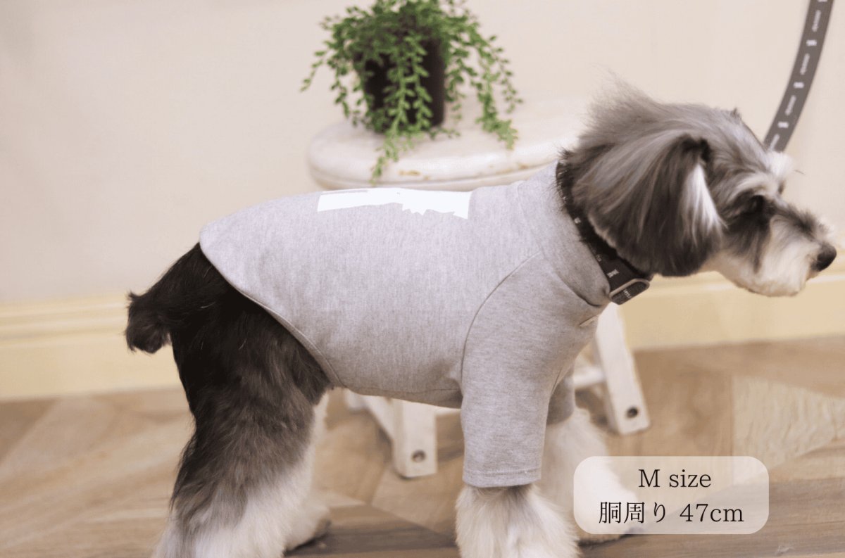 ミニチュアシュナウザー着用【dog】su-ha kun ハイネックTシャツ【ライトグレー】【mmsu-ha】