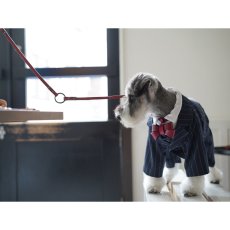 mmsu-ha FURICO RIBBON COLLAR & LEAD/エムエムスーハ フリコリボン首輪リードセット