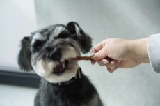 画像7: 【おやつ歯磨き】馬肉アキレス(50g) 【mmsu-haプレミアム】シュナウザー・テリア用 (7)